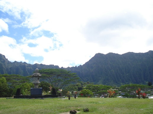 estate 4.JPG